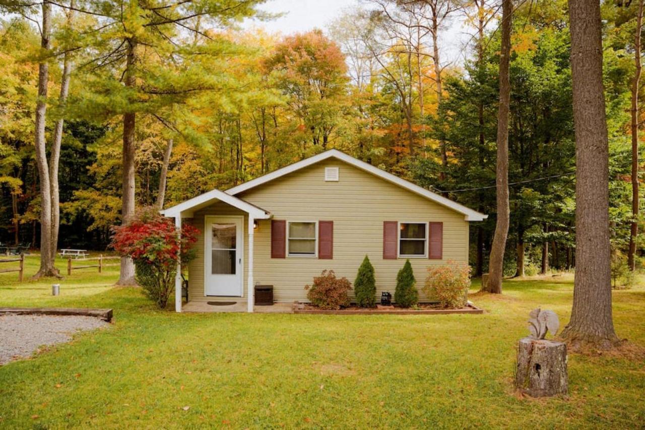 Cozy Cottage Near Cook Forest Park, Anf Marienville Kültér fotó